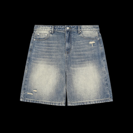 Faded Distressed Jorts